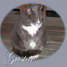 Gustav